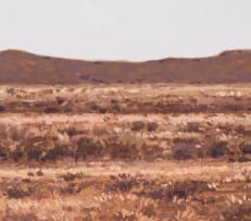 Ben Coutouvidis; Karoo landscape near Prince Albert