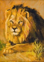 Zakkie Eloff; Male Lion