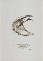Zakkie Eloff; Ibis in Flight