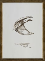 Zakkie Eloff; Ibis in Flight