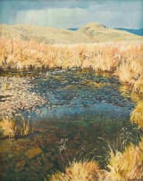 Alan Wolton; Wetland Landscape