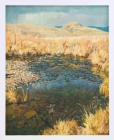 Alan Wolton; Wetland Landscape