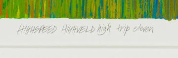 Paul Blomkamp; Highspeed Highveld High Trip Eleven