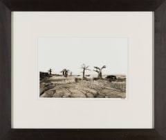 Glen Green; Landscape with Baobabs