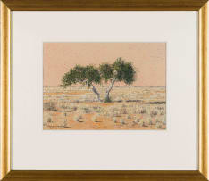 Johan Strauss; Boscia albitrunca Trees in the Kalahari