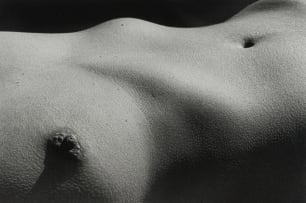 Graeme Williams; Nude