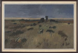 Eben van der Merwe; Landscape