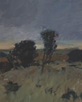 Eben van der Merwe; Landscape