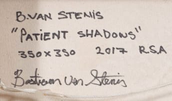 Bastiaan van Stenis; Patient Shadows