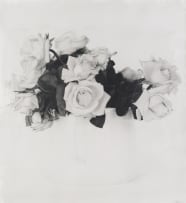 Stephen Inggs; Roses, Overberg, 2003