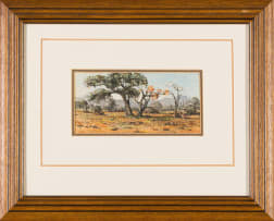 Otto Klar; Bushveld Landscape