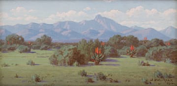 Jan Ernst Abraham Volschenk; Veld and Mountain, Riversdale