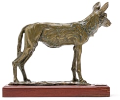 Arend Eloff; Cape Hunting Dog, Lycaon pictus