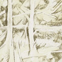 Thijs Nel; Forest Trees