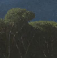 Daan Vermeulen; Stellenbosch Pines