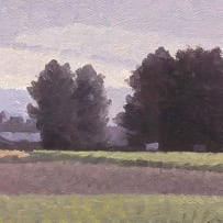 Daan Vermeulen; South of Paarl