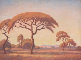 Jacob Hendrik Pierneef; Doringboom (Thorn Tree)