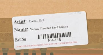 Gail Denise Darroll; Yellowthroated Sandgrouse