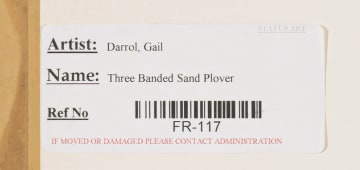 Gail Denise Darroll; Three-Banded Sandplovers