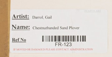 Gail Denise Darroll; Chestnutbanded Sandplovers