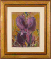 Nel Erasmus; Iris