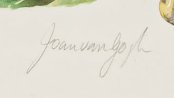 Joan van Gogh; Botanical Illustrations of Indigenous Tree Species