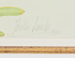 Thalia Lincoln; Protea repens with pollinator