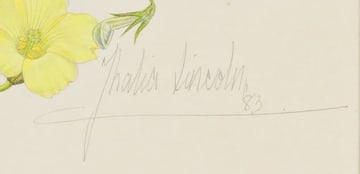 Thalia Lincoln; Wreath of Indigenous Flora
