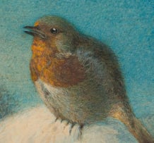 Harrison William Weir; Bird Studies