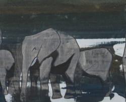 Gordon Vorster; Elephants
