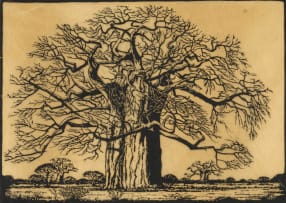 Jacob Hendrik Pierneef; Kremetartboom, Bosveld, N.T. (Nilant 73)