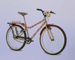 Izanne Wiid; The Cheetah Bike