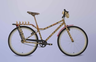 Izanne Wiid; The Cheetah Bike