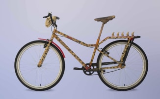 Izanne Wiid; The Cheetah Bike