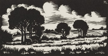 David Botha; Landscape with Trees and Clouds