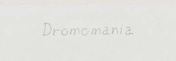 Willem Boshoff; Dromomania