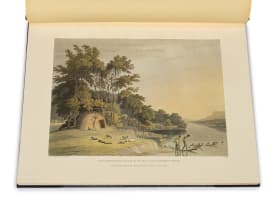Samuel Daniell; African Scenery and Animals