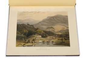 Samuel Daniell; African Scenery and Animals