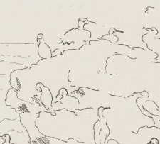 François Krige; Groot Duikers (Great Cormorants)