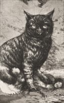 Diane Victor; Odysseus's Cat
