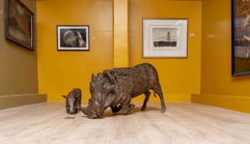 Dylan Lewis; Warthog Boar and Piglet