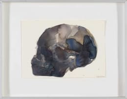 Joni Brenner; Skull Series