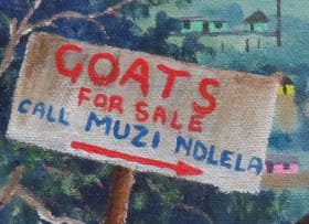 Siyabonga Sikosana; Goats for Sale