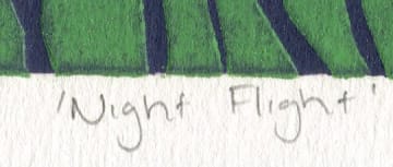 Simon Ackerman; Night Flight