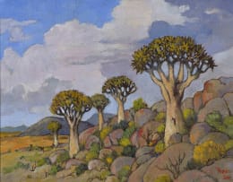 Conrad Theys; Quiver Trees, Kokerbome, Namaqua