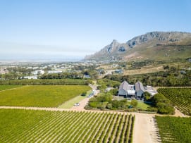 A selection of award winning wines from Steenberg Vineyards.