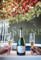 A selection of award winning wines from Steenberg Vineyards.