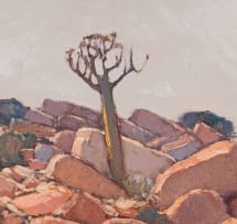 Piet van Heerden; Rocky Landscape with Quiver Tree