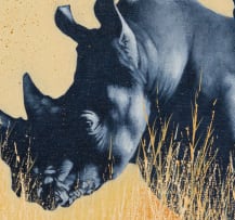Michael Costello; Black Rhino; White Rhinos, two