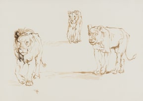 Zakkie Eloff; Lion and Lionesses Walking